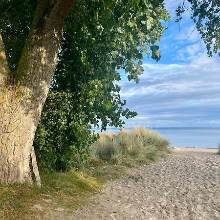Feriendorf Suedstrand Haus 49 بيلزيرهاكين المظهر الخارجي الصورة