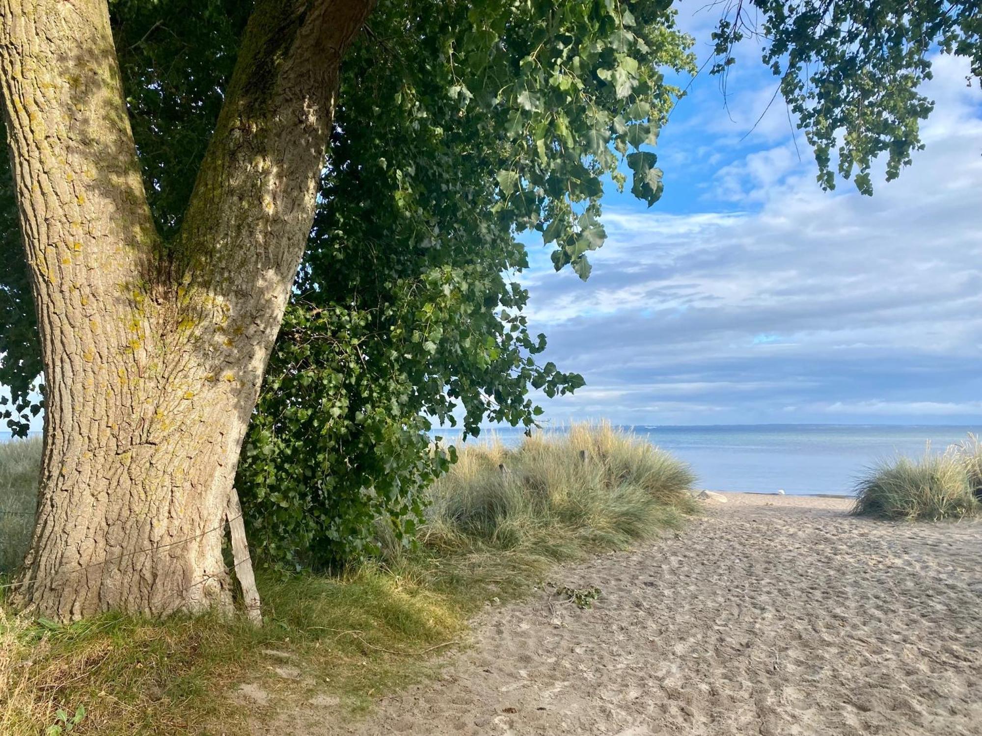 Feriendorf Suedstrand Haus 49 بيلزيرهاكين المظهر الخارجي الصورة