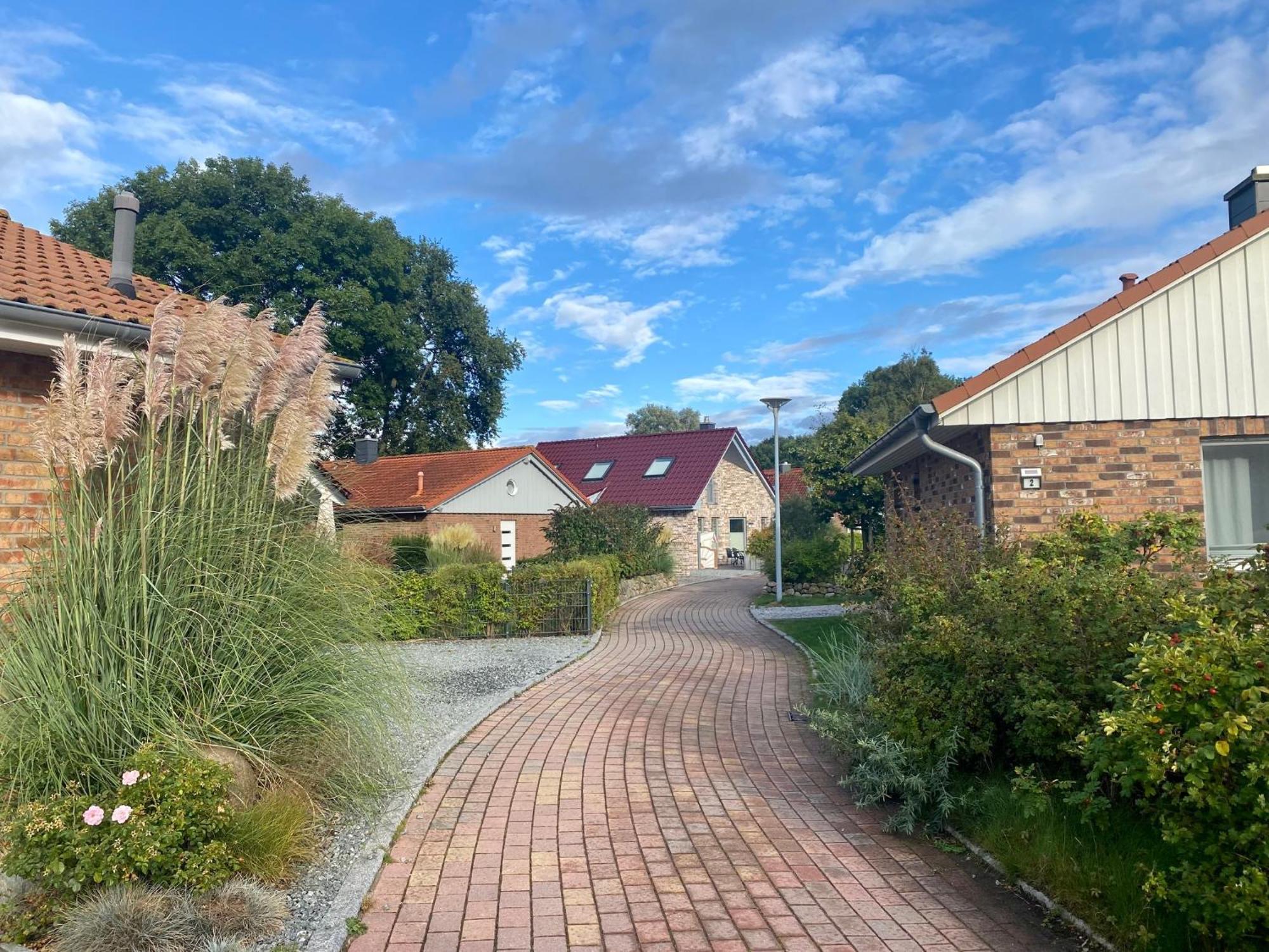 Feriendorf Suedstrand Haus 49 بيلزيرهاكين المظهر الخارجي الصورة